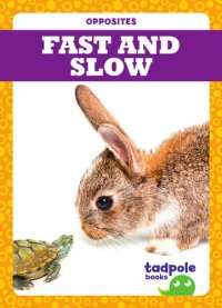 cover of the book Fast and Slow