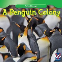 cover of the book A Penguin Colony