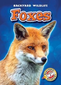 cover of the book Foxes