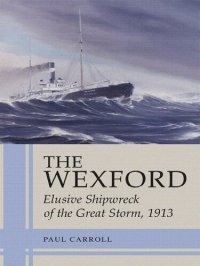 cover of the book The Wexford: Elusive Shipwreck of the Great Storm, 1913