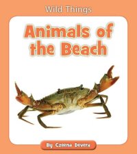 cover of the book Animals of the Beach