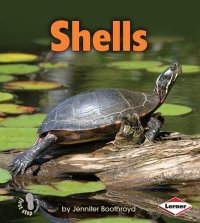 cover of the book Shells: Body Coverings