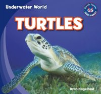 cover of the book Turtles