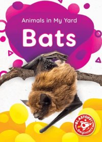 cover of the book Bats