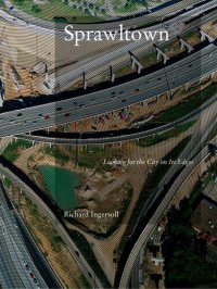 cover of the book Sprawltown: Looking for the City on its Edges