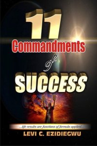 cover of the book 11 Commandments of Success