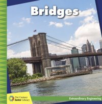 cover of the book Bridges