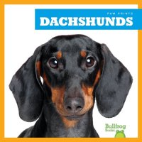 cover of the book Dachshunds