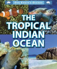 cover of the book The Tropical Indian Ocean