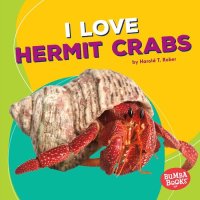 cover of the book I Love Hermit Crabs