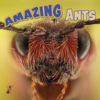 cover of the book Amazing Ants