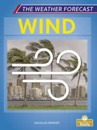 cover of the book Wind