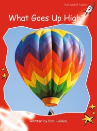 cover of the book What Goes Up High?