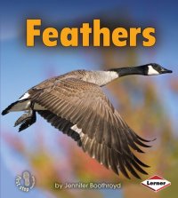 cover of the book Feathers: Body Coverings