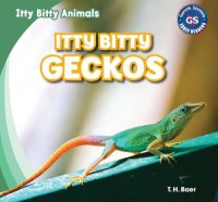 cover of the book Itty Bitty Geckos