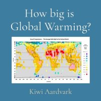 cover of the book How big is Global Warming?