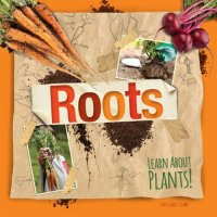 cover of the book Roots