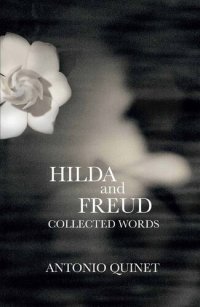 cover of the book Hilda and Freud: Collected Words