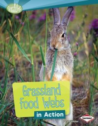 cover of the book Grassland Food Webs in Action