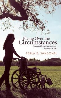 cover of the book Flying Over the Circumstances: It Is Possible to Rise Over Hard Moments in Life