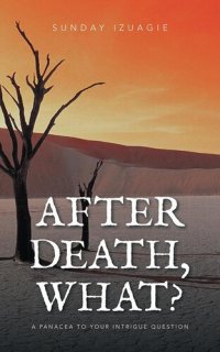 cover of the book After Death, What?: A Panacea to Your Intrigue Question