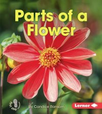 cover of the book Parts of a Flower