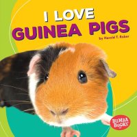 cover of the book I Love Guinea Pigs