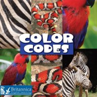 cover of the book Color Codes