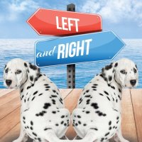 cover of the book Left and Right