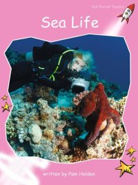 cover of the book Sea Life