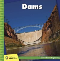 cover of the book Dams