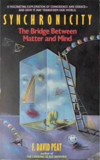 cover of the book Synchronicity The Bridge Between Matter and Mind