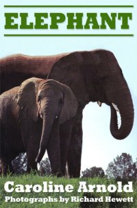 cover of the book Elephant