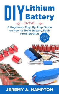 cover of the book DIY Lithium Battery