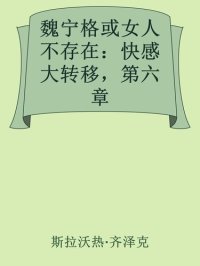 cover of the book 快感大转移，第六章，重译