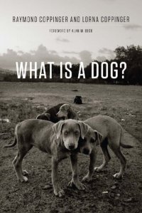 cover of the book What Is a Dog?