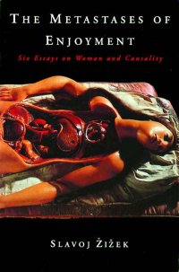 cover of the book 快感大转移，第六章，重译 The Metastases of Enjoyment: Six Essays on Woman and Causality (Wo Es War)