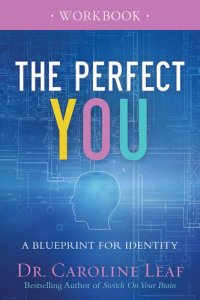 cover of the book The Perfect You Workbook: A Blueprint for Identity