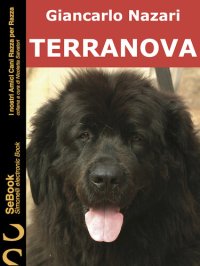 cover of the book Terranova