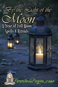 cover of the book By the Light of the Moon: 13 Simple & Affordable Pagan Spells & Rituals for a Year of Full Moon Celebrations