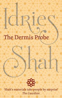 cover of the book The Dermis Probe