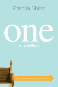 cover of the book One in a Million: Journey to Your Promised Land