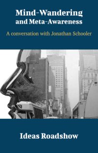 cover of the book Mind-Wandering and Meta-Awareness: A Conversation with Jonathan Schooler