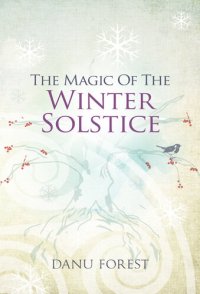 cover of the book The Magic of the Winter Solstice: Seasonal celebrations to honour nature's ever-turning wheel