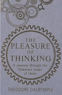 cover of the book The Pleasure of Thinking: A Journey through the Sideways Leaps of Ideas