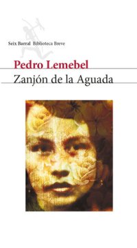 cover of the book Zanjón de la Aguada