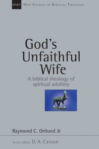 cover of the book God's Unfaithful Wife: A Biblical Theology of Spiritual Adultery