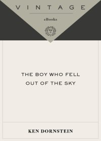 cover of the book The Boy Who Fell Out of the Sky