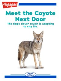 cover of the book Meet the Coyote Next Door