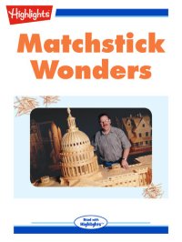 cover of the book Matchstick Wonders